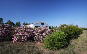  Casa Gollei  Орозеи